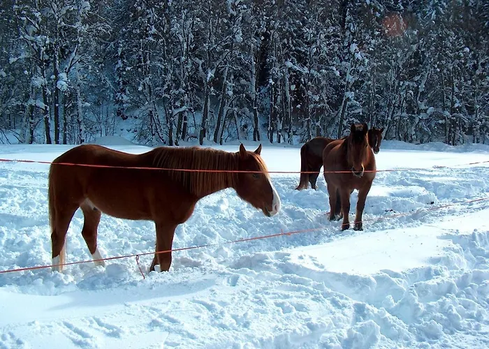 Appartement Gadae 2 Reckingen