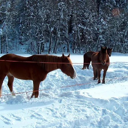 Appartamento Gadae 2 Reckingen